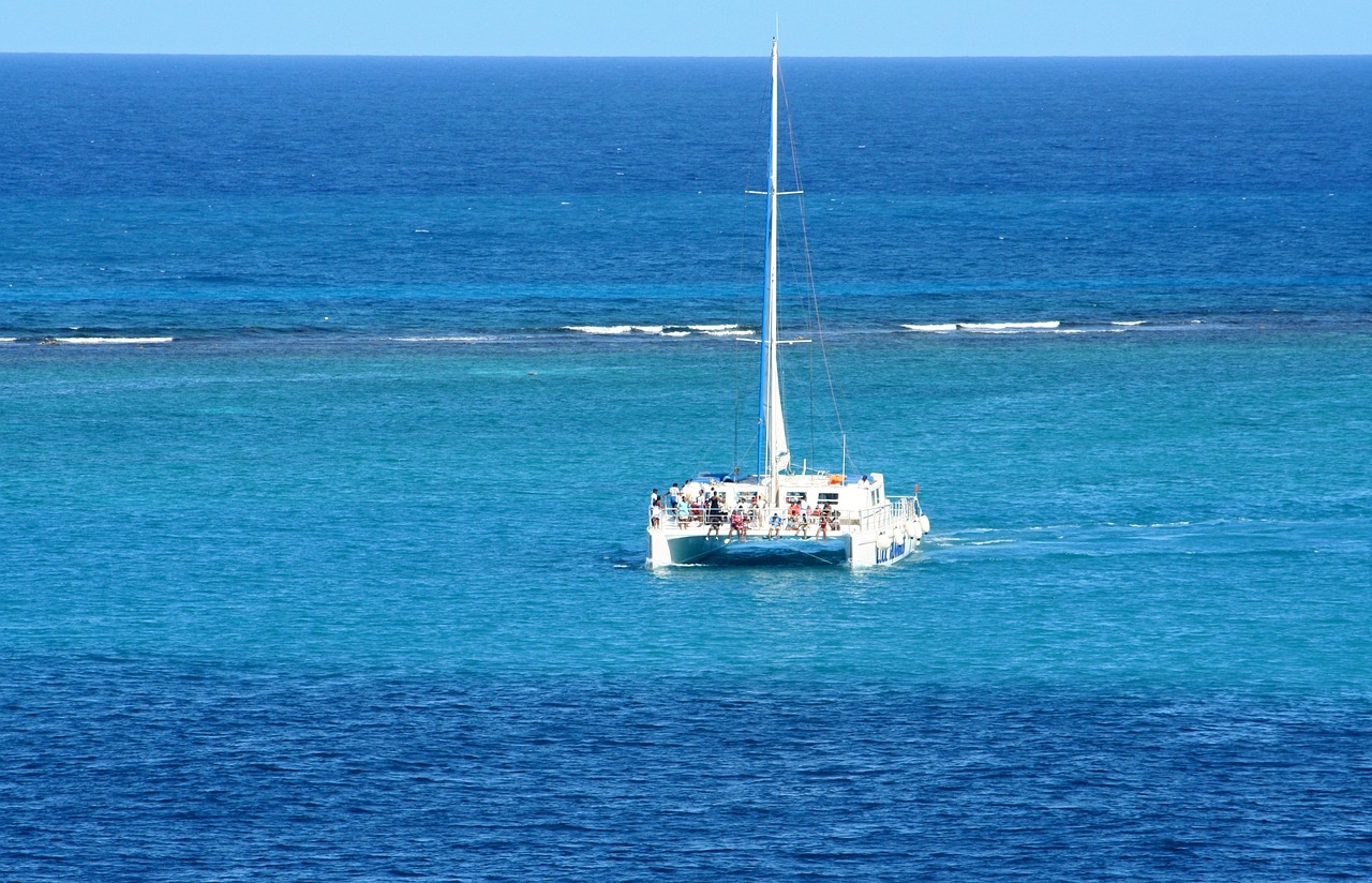 caribbean, sea, beach, vacations, riverbank, horizon, heaven, ocean, blue, coast, landscape, nature, water, view, palm tree, clear, sail, catamaran, boat, sailboat, sailing ship, ships, boating, catamaran, catamaran, catamaran, catamaran, catamaran