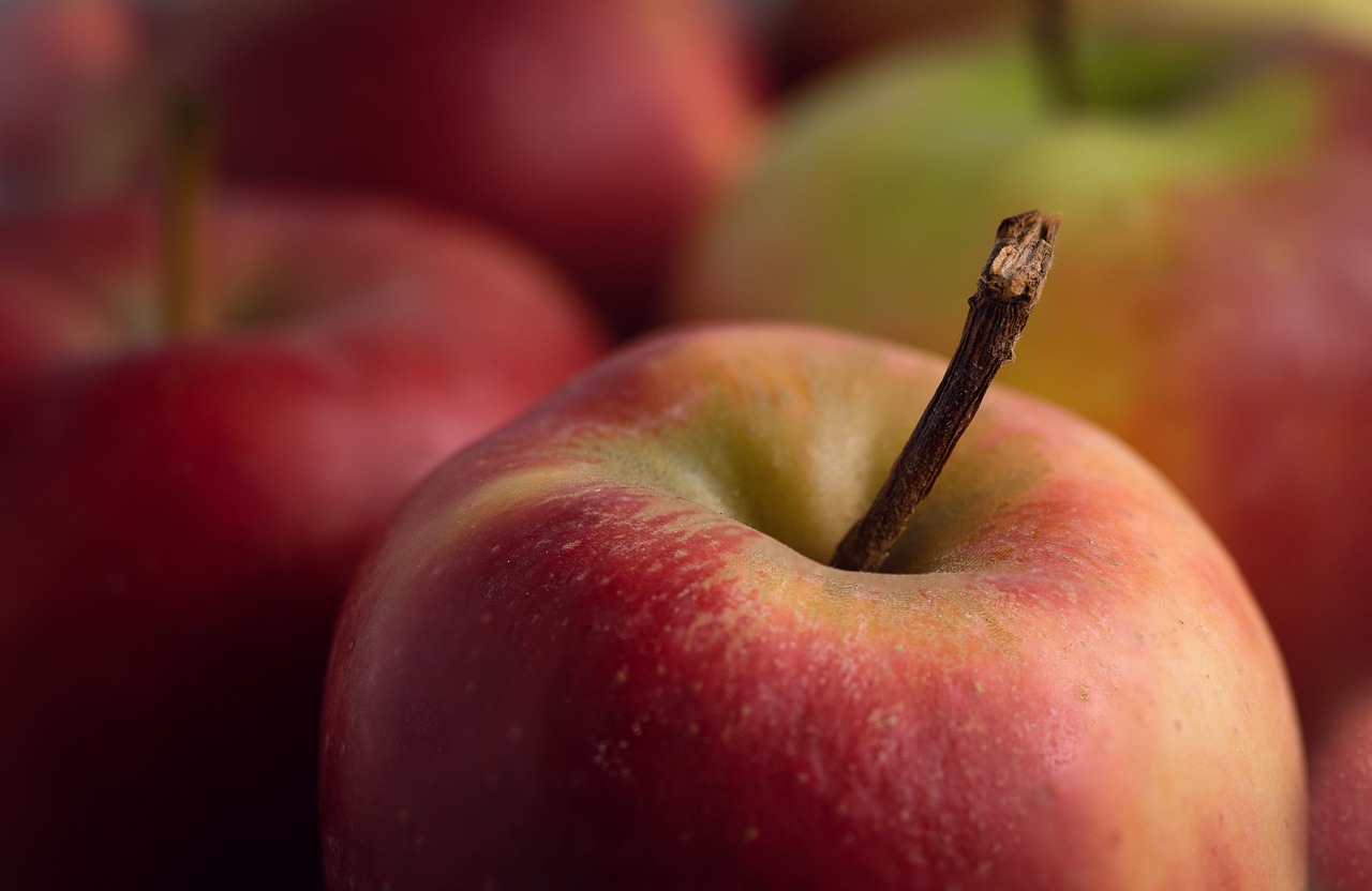 apple, healthy, red, fruit, apples, fruits, vitamins, food, harvest, power supply, ripe, delicious, health, fruit basket, fresh, to live, vitamin, close up, stem, bio, apple, apple, apple, apples, health, health, health, health, health