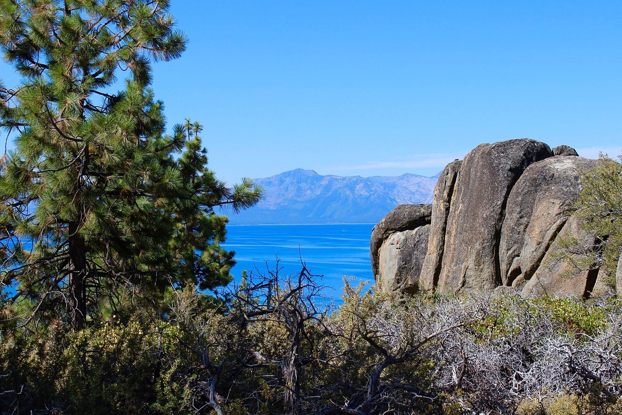 lake tahoe, nevada, lake, tahoe, landscape, nature, america, serene, lake tahoe, lake tahoe, lake tahoe, lake tahoe, lake tahoe, tahoe, tahoe