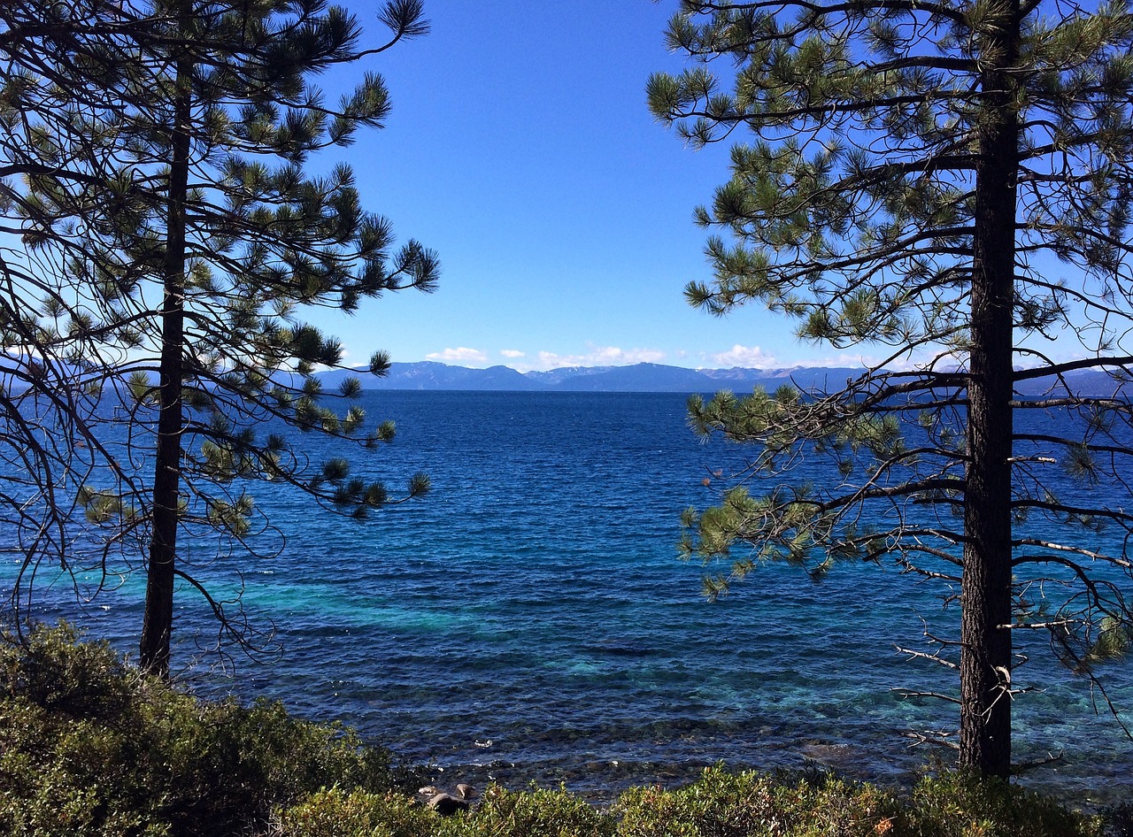 tahoe, lake, lake tahoe, blue, water, trees, sky, mountain, california, nevada, pine, forest, vacation, peaceful, landscape, america, relax, relaxation, romantic, woods, beach, rocks, usa, reflection, clear, green, calm, peace, clean, enjoy, seasonal, quiet, resting, holiday, nature, blue clean, lake tahoe, lake tahoe, lake tahoe, lake tahoe, lake tahoe