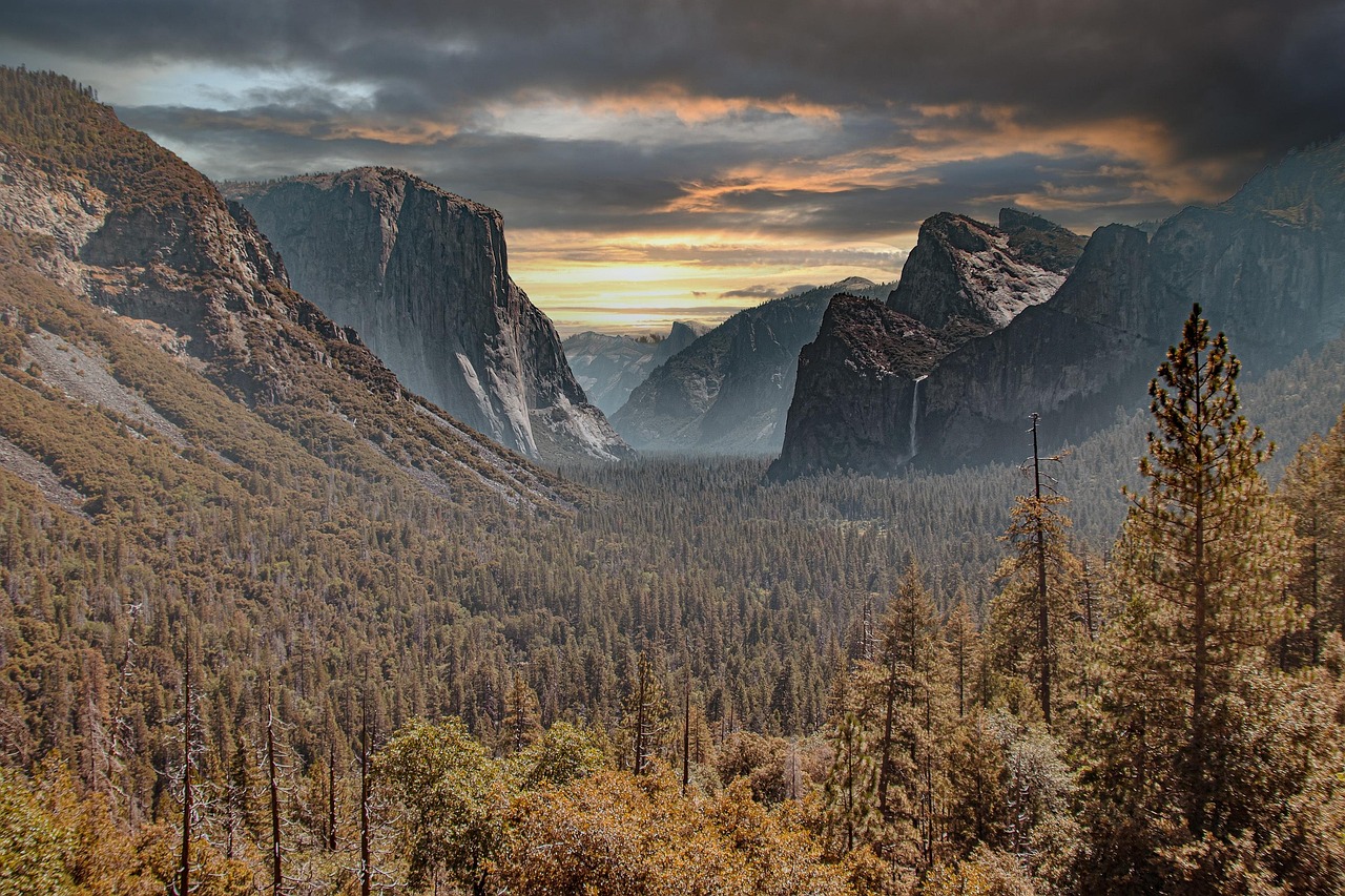 yosemite, sunset, forest, national park, fall, mountains, usa, nature, landscape, yosemite, yosemite, yosemite, sunset, forest, national park, national park, national park, national park, national park, usa, usa, nature, nature, nature, landscape