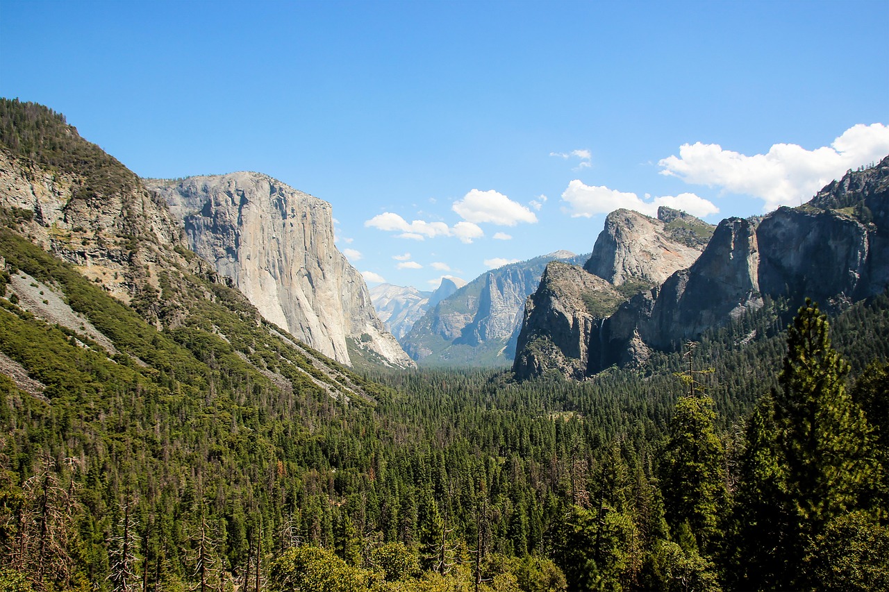 yosemite, yosemite national park, usa, awahnee, cliff, landscape, valley, mountain, california, nature, wilderness, forest, mountains, trees, outdoors, scenic, woods, tourism, yosemite, yosemite, yosemite, yosemite, yosemite, yosemite national park, usa, california